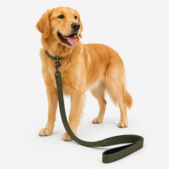 Collection image for: Pet Leashes