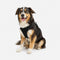 Pet Harnesses