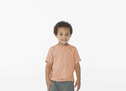 BELLA+CANVAS Toddler Triblend Short Sleeve Tee BC3413T