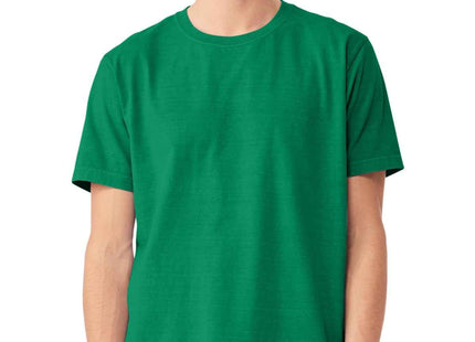 BELLA+CANVAS Unisex Heavyweight GarmentDyed Tee BC4810GD Washed Kelly