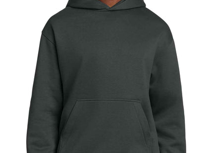 District VIT Heavyweight Fleece Hoodie DT6150