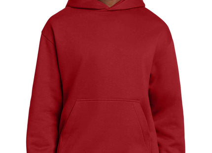 District VIT Heavyweight Fleece Hoodie DT6150