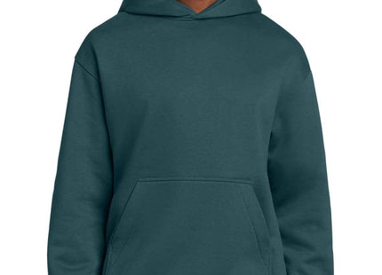 District VIT Heavyweight Fleece Hoodie DT6150