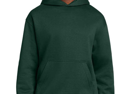 District VIT Heavyweight Fleece Hoodie DT6150