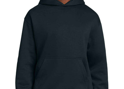 District VIT Heavyweight Fleece Hoodie DT6150