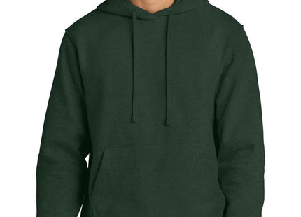District VIT Super Heavyweight Fleece Hoodie DT6600