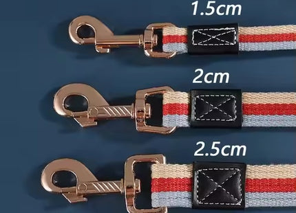 Strong Nylon Dog Leash Walking Lead with Comfortable Grip