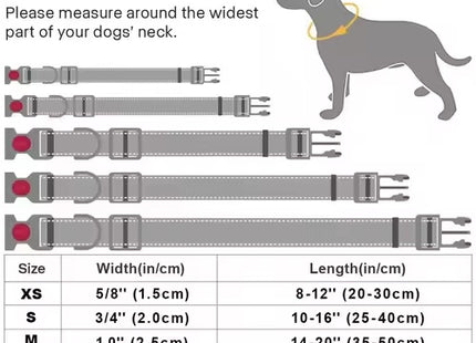 Adjustable Reflective Dog & Cat Collar with Retractable Leash