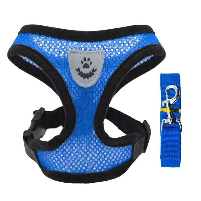 Breathable Mesh Cat & Small Dog Harness With Leash Set