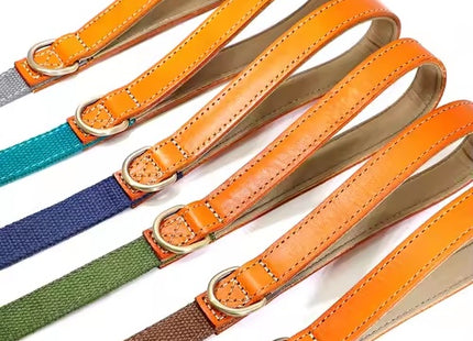 Heavy Duty Nylon Dog Walking Leash