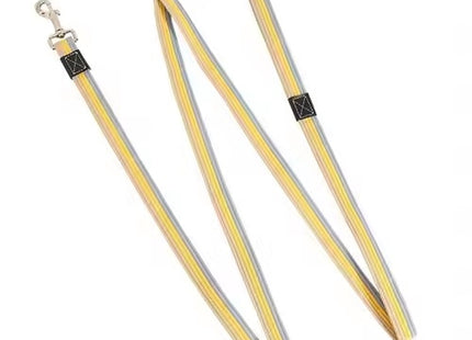 Strong Nylon Dog Leash Walking Lead with Comfortable Grip