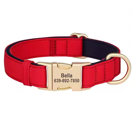 Waterproof Nylon Dog Collar with Free Personalized Engraving