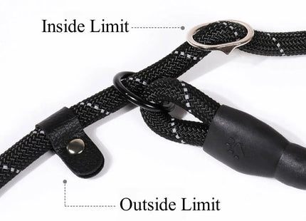 Strong Dog Leash for Better Control