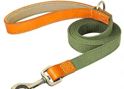 Heavy Duty Nylon Dog Walking Leash