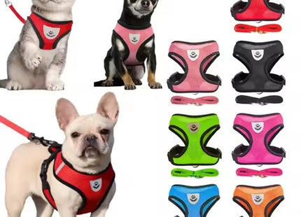 Breathable Mesh Cat & Small Dog Harness With Leash Set