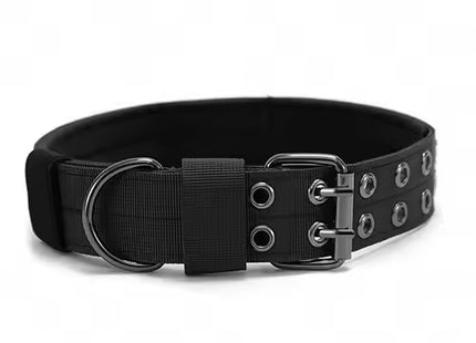 Durable Military Nylon Dog Collar