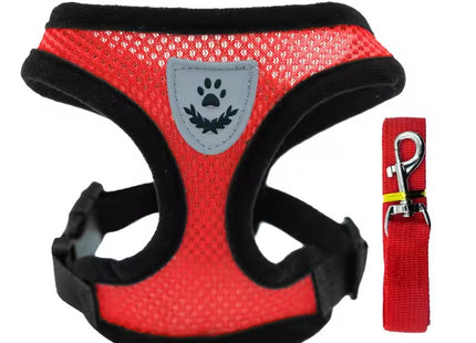 Breathable Mesh Cat & Small Dog Harness With Leash Set