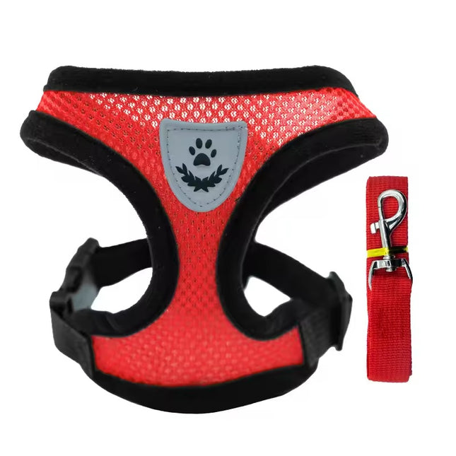 Breathable Mesh Cat & Small Dog Harness With Leash Set