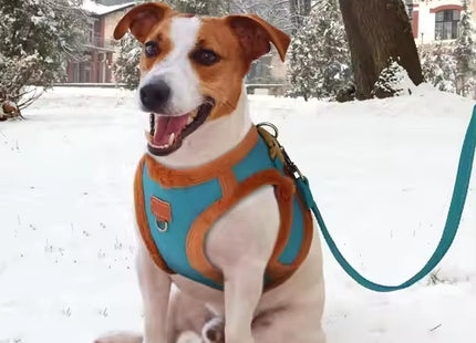 3-Layer Warm Dog Harness & Leash Set