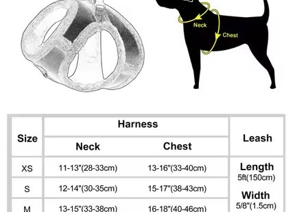 3-Layer Warm Dog Harness & Leash Set
