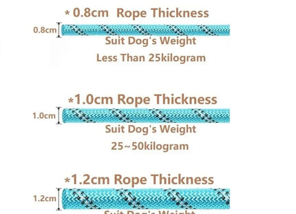 Strong Dog Leash for Better Control