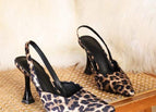 leopard / 5